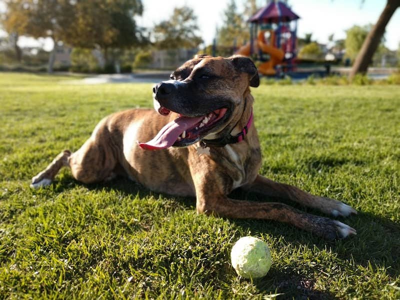 Autumn Breeze Park, Valley-Wide Recreation and Park District - Image 1