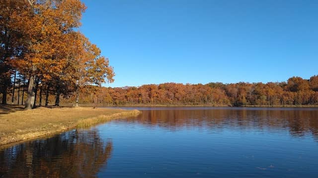 Ripley Lake Recreation Area - Image 1