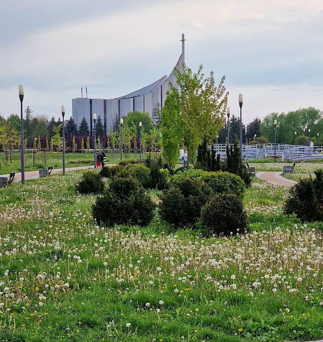 Park papieski - Image 1