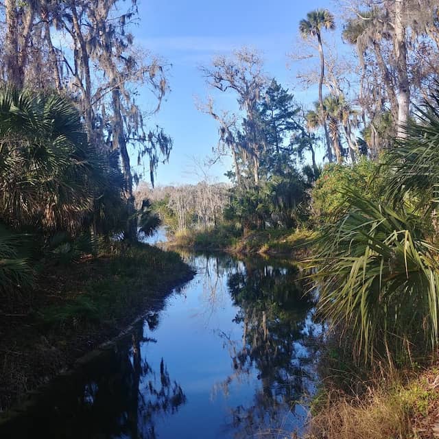 Ormond Beach Environmental Discovery Center - Image 2