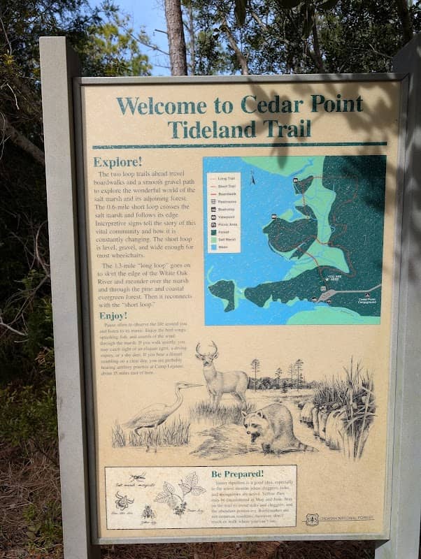 Cedar Point Tideland Trail - Image 3