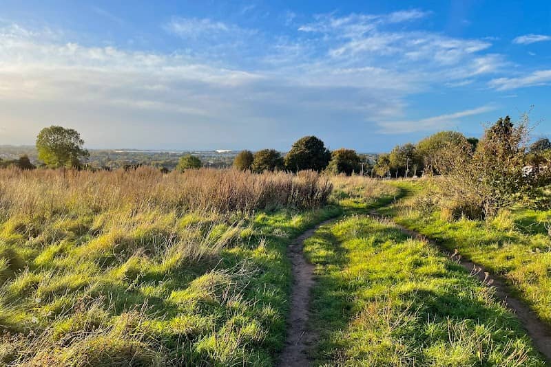 Borough Hill - Image 1