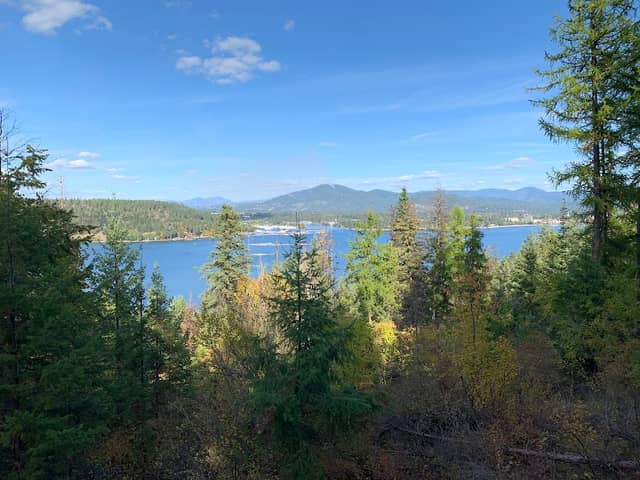 Cougar Bay - Image 2