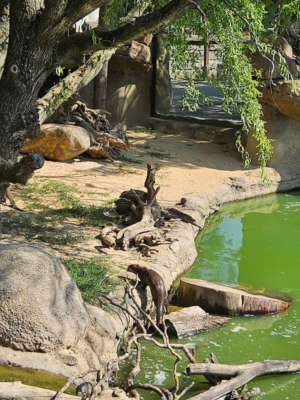 Asia World - Image 2