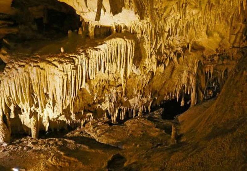 Mammoth Cave National Park - Image 3
