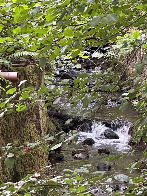 Fairy water - Image 1