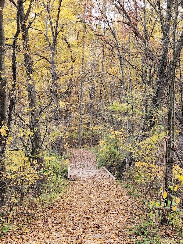 Dr. Lawless International Dark Sky Park - Image 2