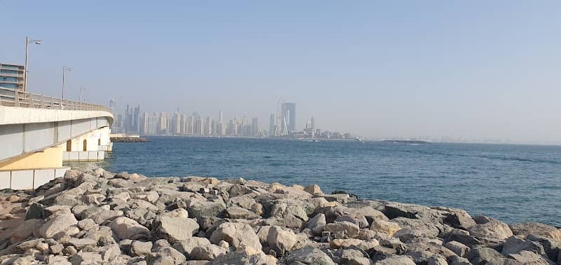 Dolphin bridge - Image 1