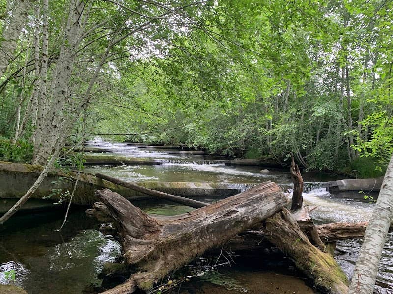 Goldsborough Fish Ladder Trailhead - Image 1