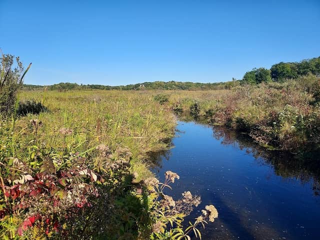 Lulu Lake State Natural Area - Image 1