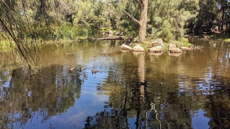 Steen Bird Park - Image 1