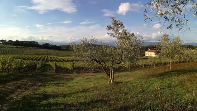 Fattoria Betti - Image 1