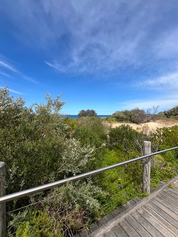 Cronulla Sand Dunes Viewing Platform - Image 3