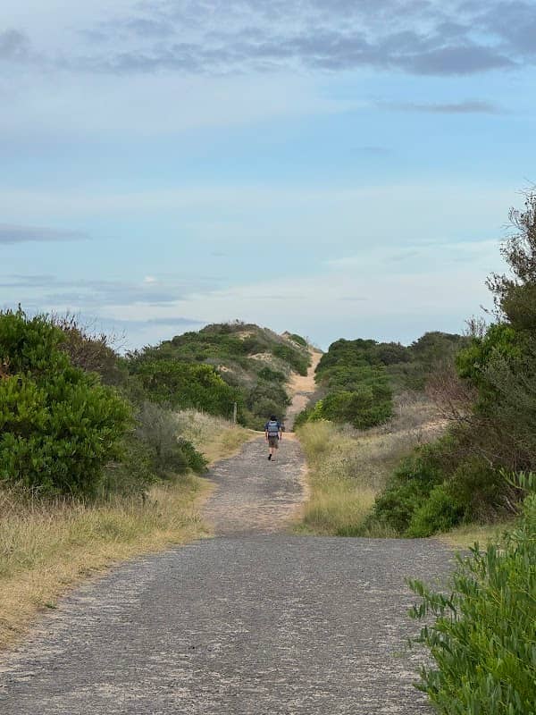 Cronulla Sand Dunes Viewing Platform - Image 2