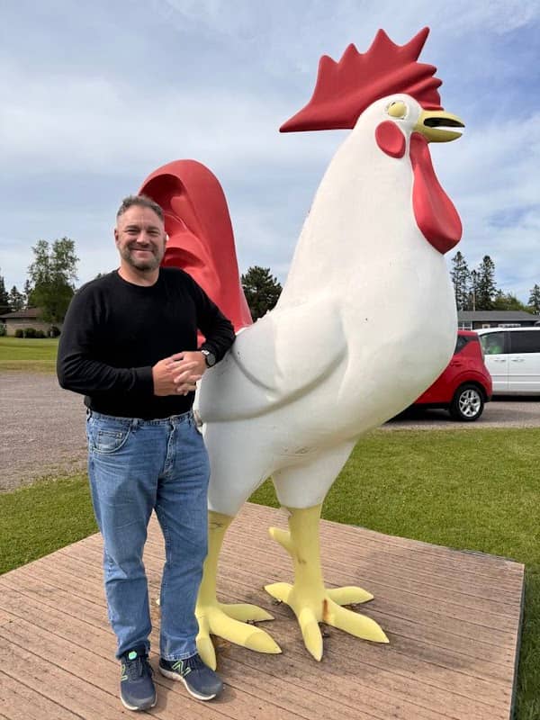Weldon's Rooster - Image 2