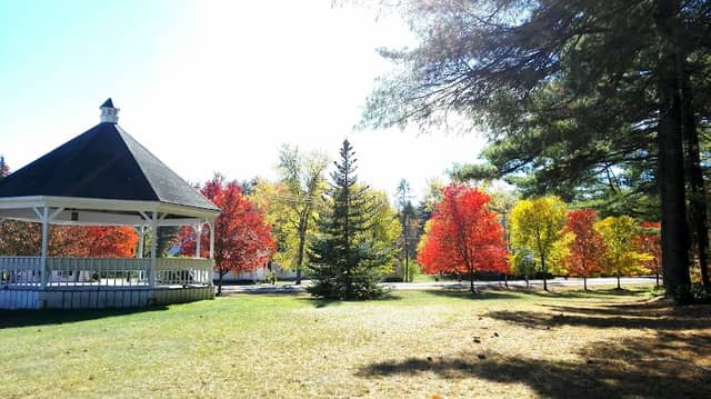 Bradley Park - Image 1
