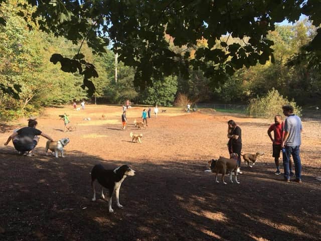 Oakhurst Dog Park - Image 2