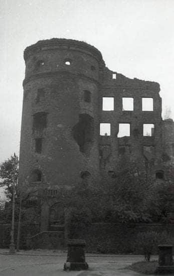 Königsberg shloß - Image 2