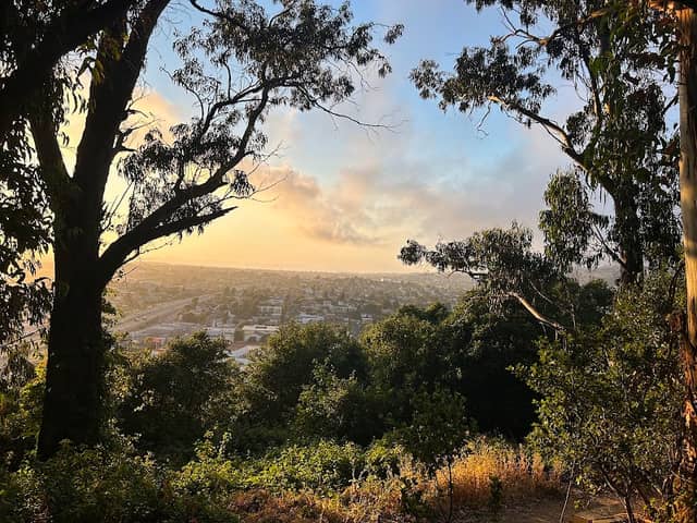 Albany Hill Park - Image 2