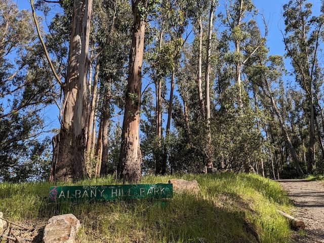 Albany Hill Park - Image 1