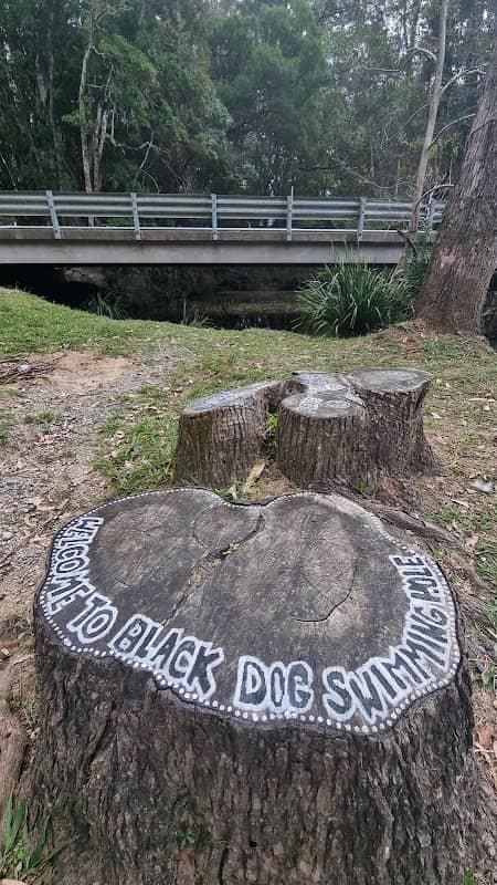 Black Dog Swimming Hole - Image 1