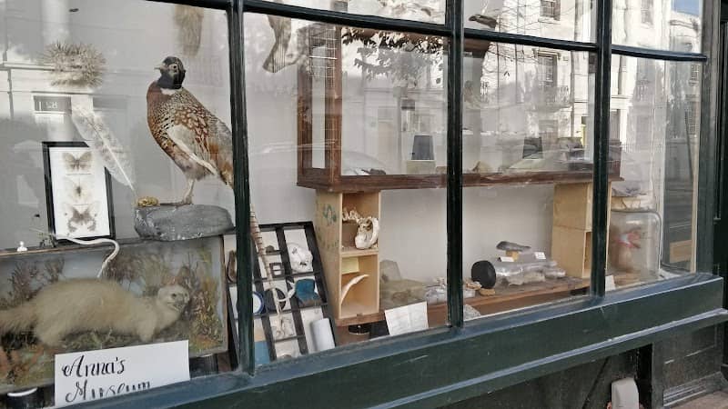 Anna's Museum - Image 1