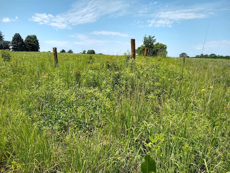 Loda Cemetery Prairie Nature Preserve - Image 1