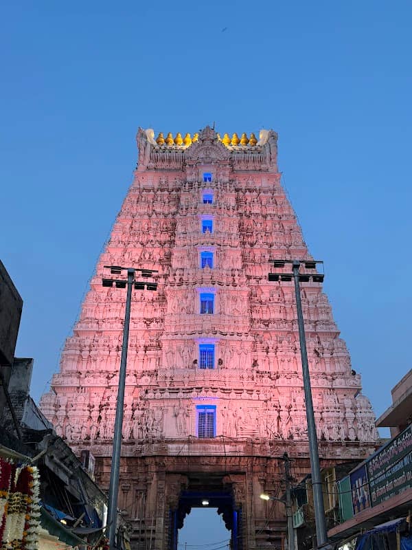 Sri Govindaraja Swamy Temple - Image 1