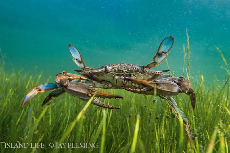 Jay Fleming Photography - Image 1