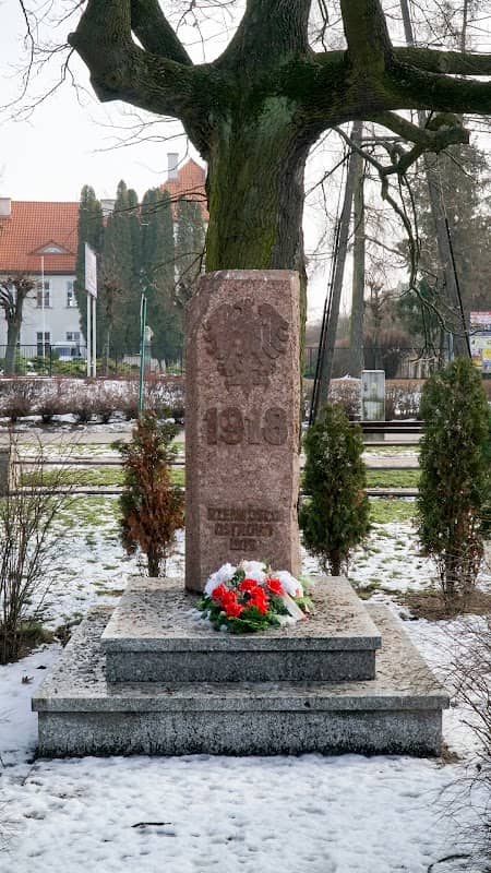„Dąb Wolności imienia Alberto ” - Image 1