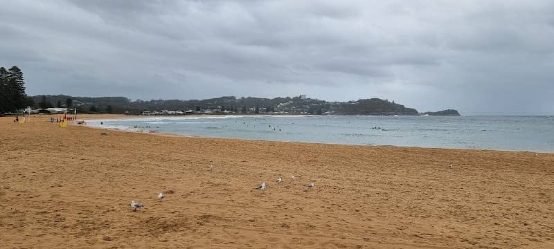 Avoca Beach - Image 3