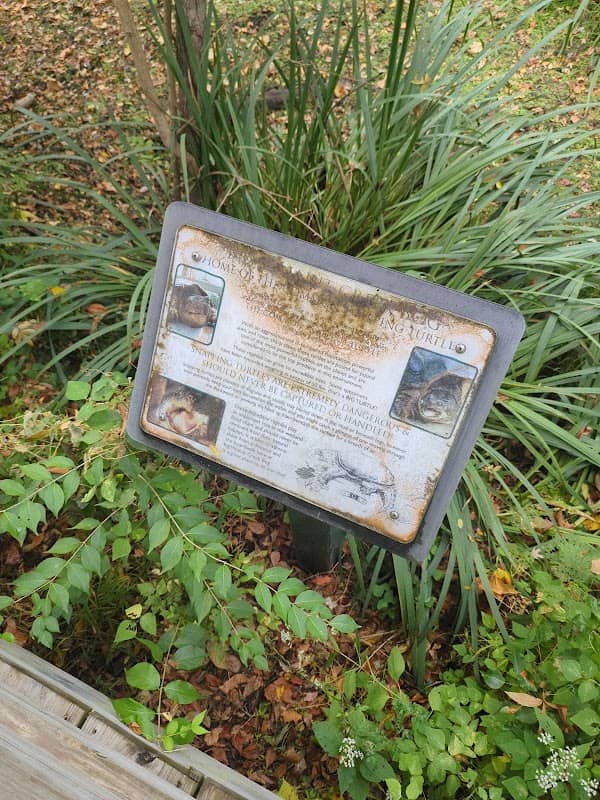Big Walnut Creek Bog - Image 2
