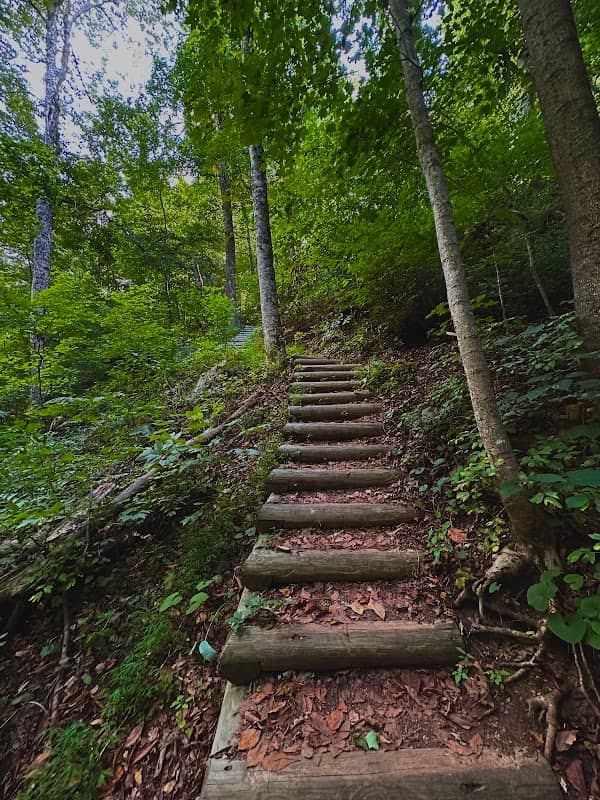 Wildwood Park - Image 1