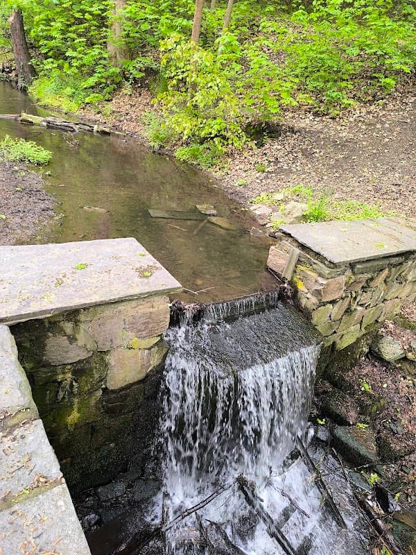 Neumarker Wasserfall - Image 1