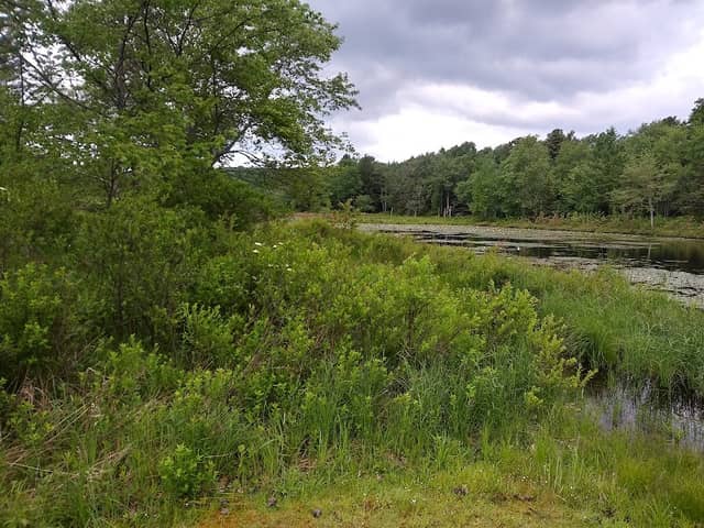Trailwood Park - Image 2