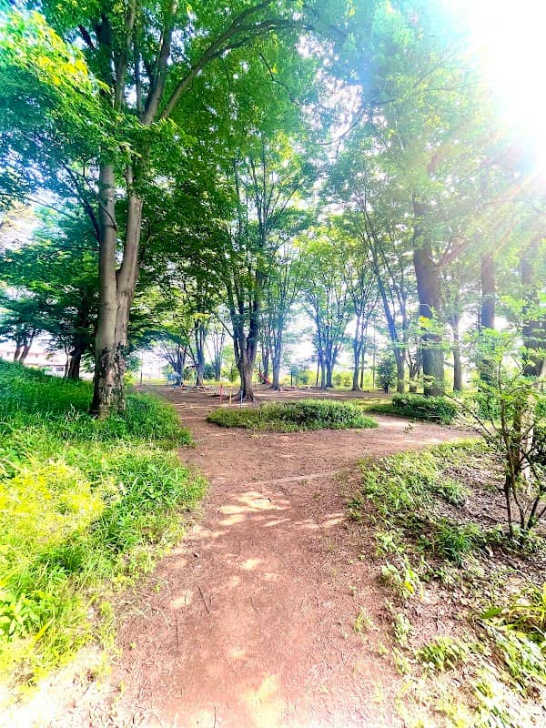 Hachiman-yama Park - Image 2