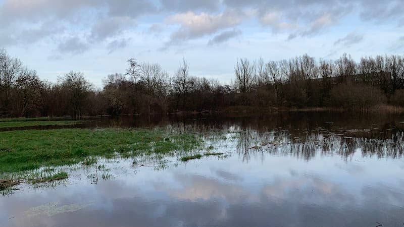 Dommel - Image 1
