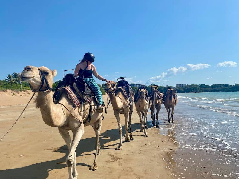 Darwin Camel Rides - Image 1