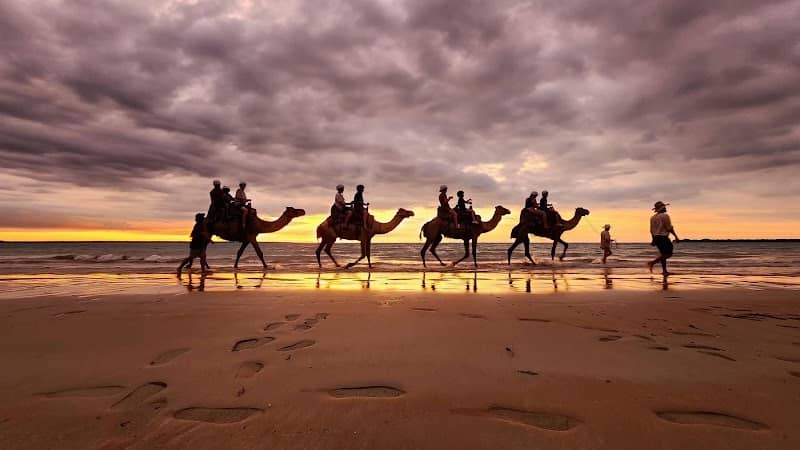 Darwin Camel Rides - Image 2
