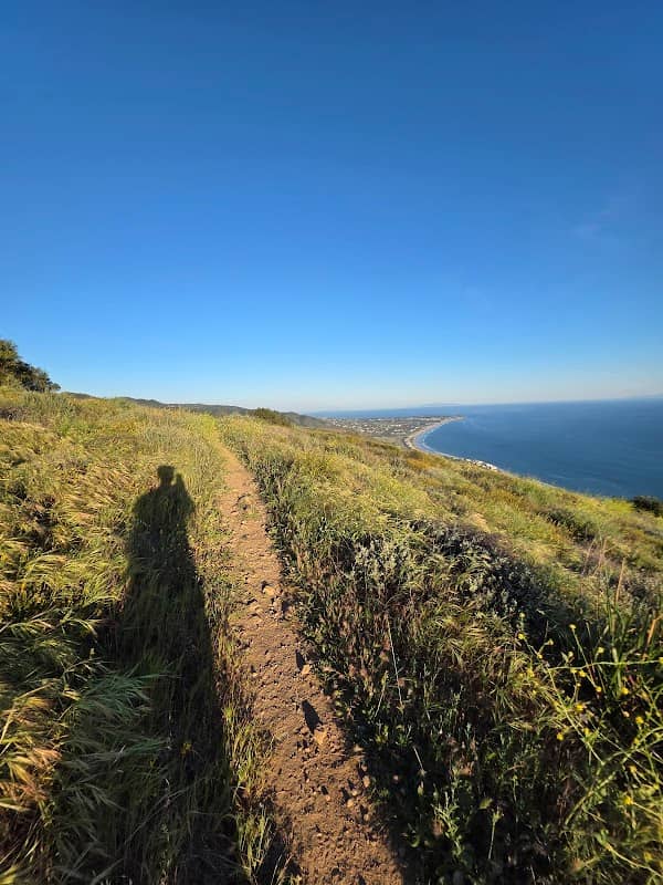 Casey Austin Viewpoint - Image 1