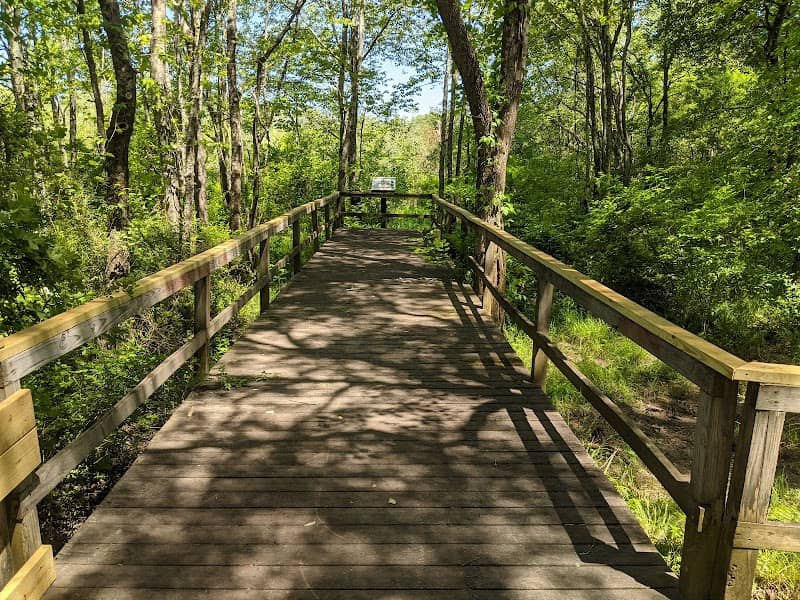 Oklawaha Greenway Trail-Patton Park Access - Image 2