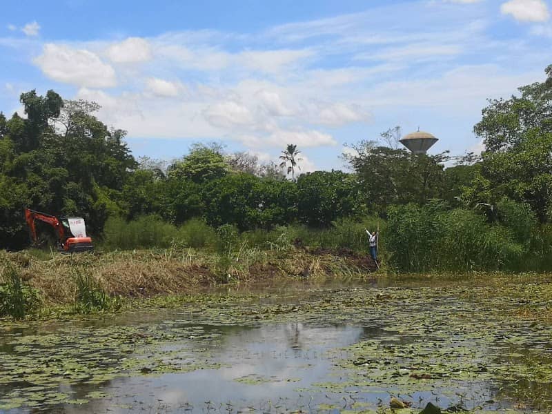 ทุ่งรังสิต 2019 - Image 2
