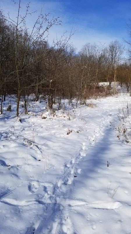 Flory Preserve - Image 1