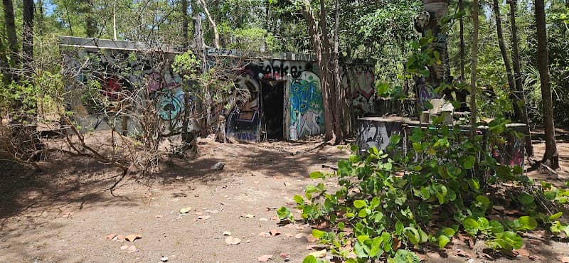 The Hidden Graffiti Ruins - Image 2