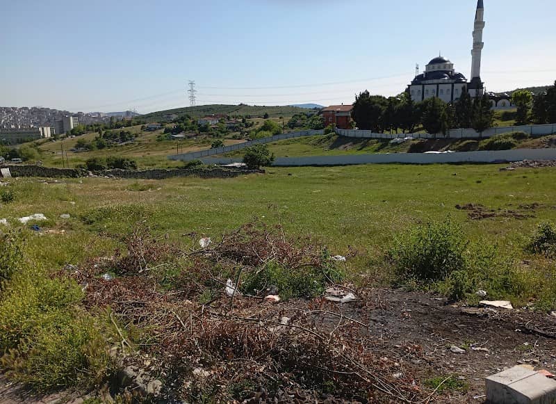 Republic of Bosqunia - Image 1