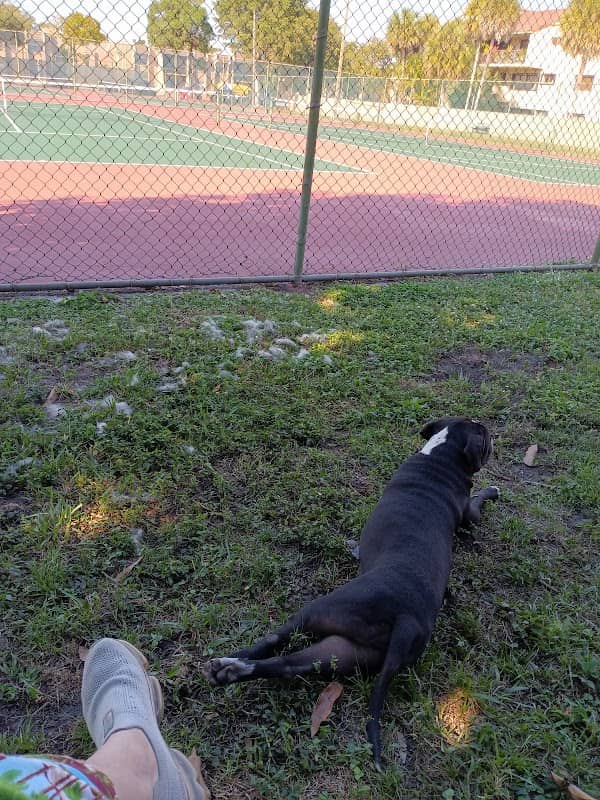 Happy Tappy Dog Park - Image 3