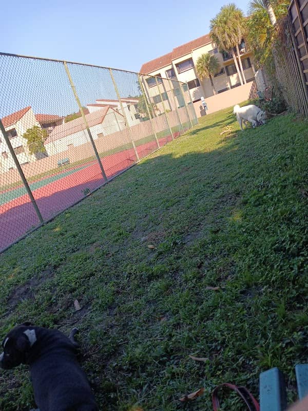 Happy Tappy Dog Park - Image 2