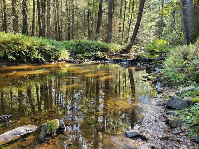 McCalls Dam State Park - Image 1
