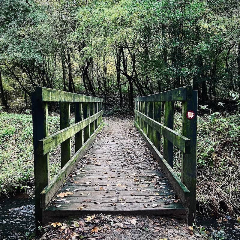 Wellyhole Park - Image 1