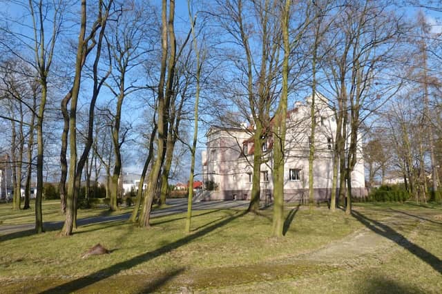 Zabytkowy park podworski - Image 1